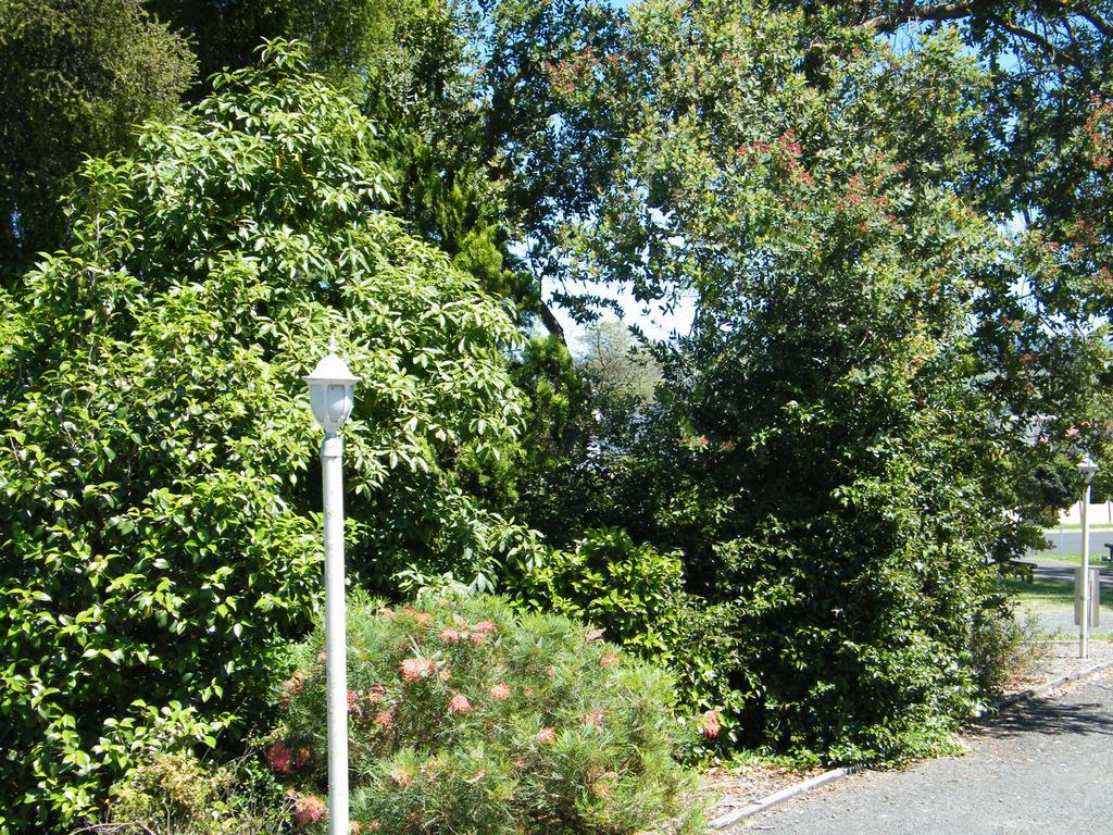 Bega Caravan Park Extérieur photo