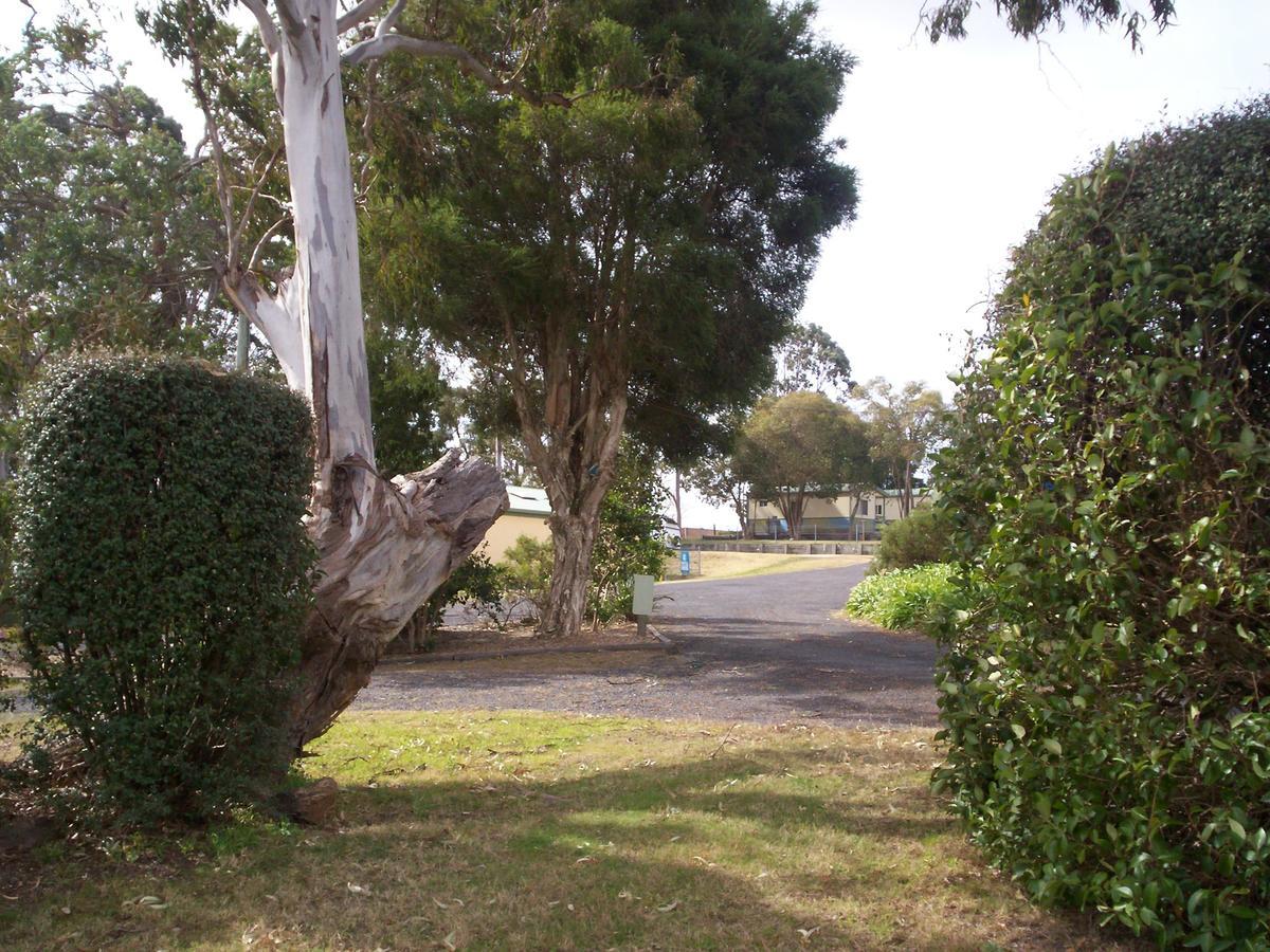 Bega Caravan Park Extérieur photo